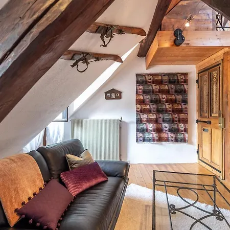 Apartment Douce Folie Annecienne Furnished Flat Annecy