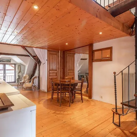 Douce Folie Annecienne Furnished Flat Apartment Annecy