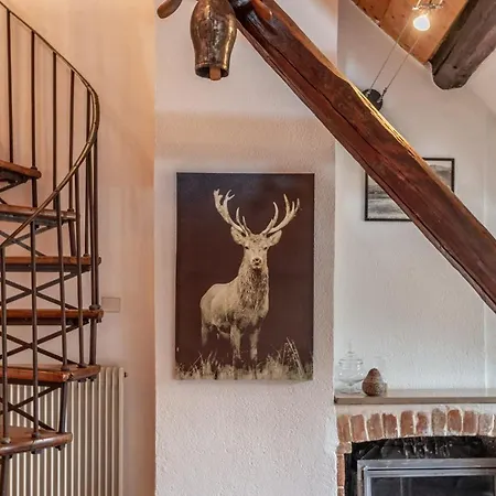 Apartment Douce Folie Annecienne Furnished Flat