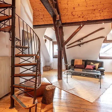 Apartment Douce Folie Annecienne Furnished Flat Annecy